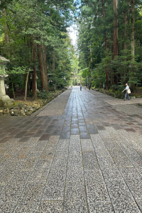 彌彦神社参道